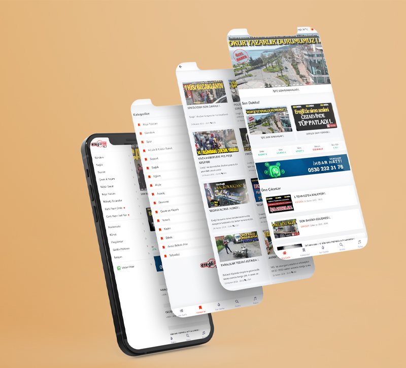 portfolio